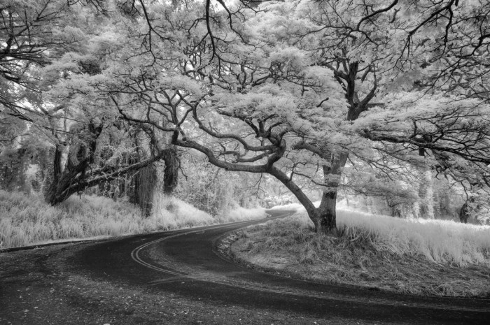 Tantalus Drive in Infrared