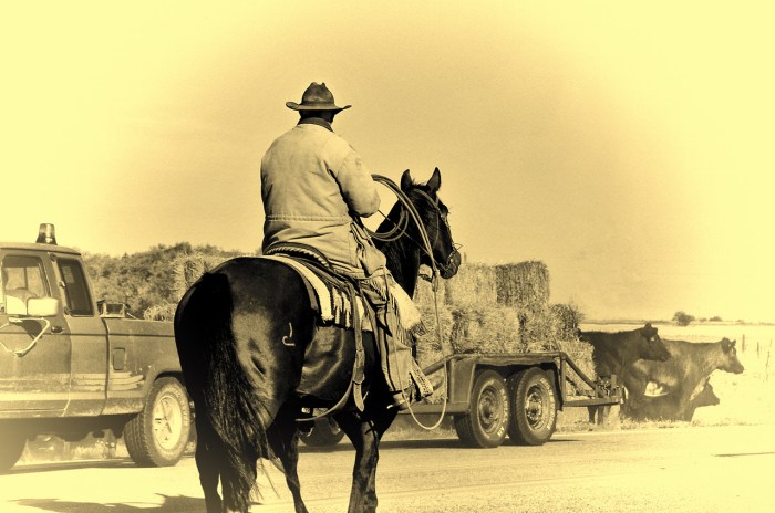 Cowboy and pickup truck