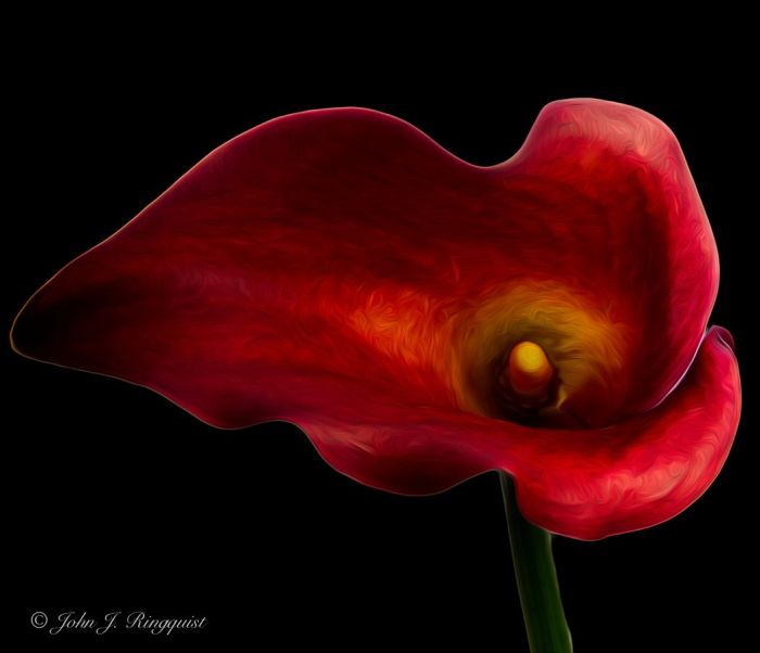 NNlrlnsGUJwZt8iRs1oAR0BUfVl7vurVkgaxSisR-BE