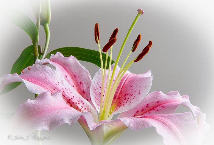 Xa0EFMMHG3YFUBwTClVTNgElYaLhgmjJQhTVf5Q7LFE