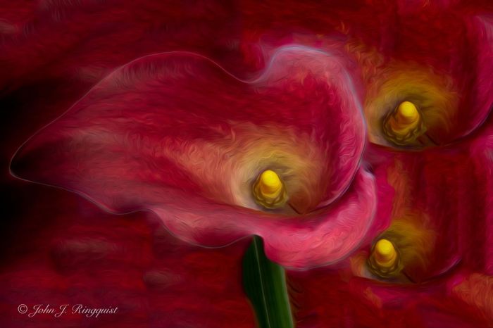 Y7Mx1v6PkCoivzafLUfNFleYdryM8fTtiBiKMQ3f8cc