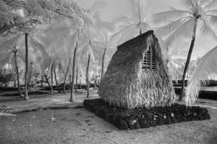 Pu'uhonua o Honaunau [Place of Refuge]  (Big-Island)